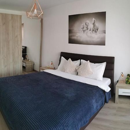 Marimonti Apartment Brasov Luaran gambar
